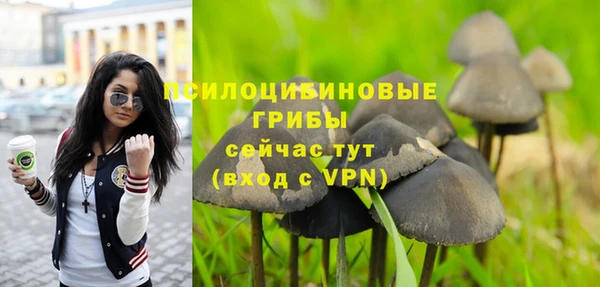 прущая мука Богородск