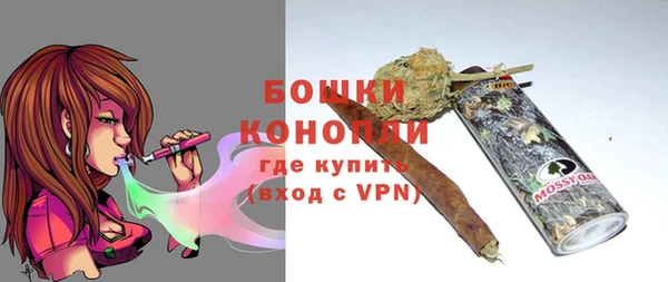 дживик Белоозёрский