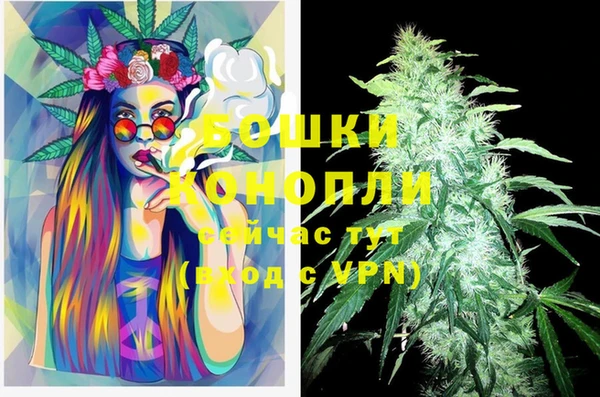 прущая мука Богородск