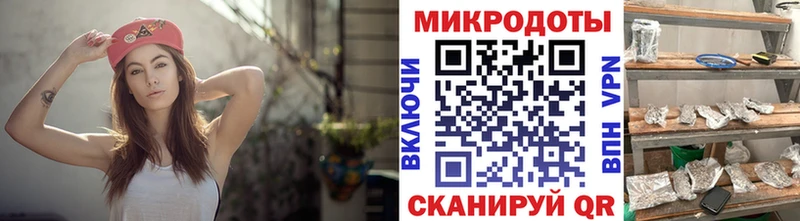 купить наркотики сайты  kraken онион  Псилоцибиновые грибы Psilocybine cubensis  Гатчина 