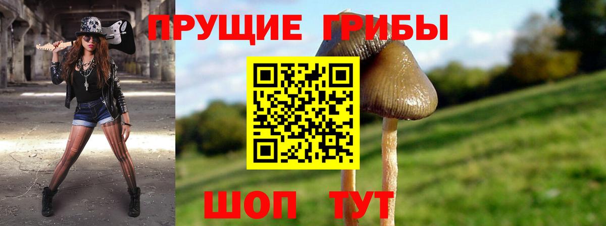 Галлюциногенные грибы прущие грибы Гатчина