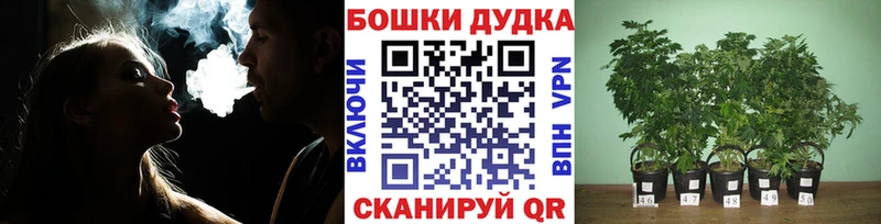 Канабис THC 21%  Гатчина 